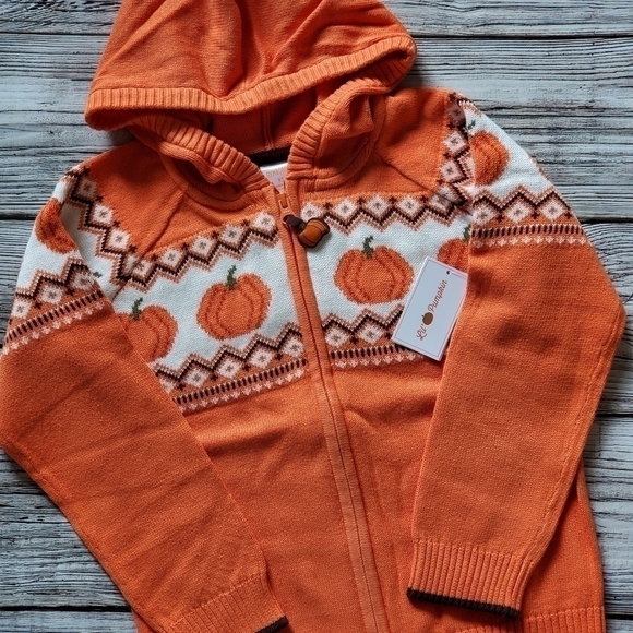 Gymboree Orange Pumpkin Sweater Lil's Pumpkin Collection Hooded Zip Up Sweater - Picture 9 of 14